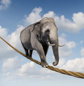 Managing risk and big business challenges and uncertainty with a large elephant walking on a dangerous rope high in the sky as a symbol of balance and overcoming fear for goal success.